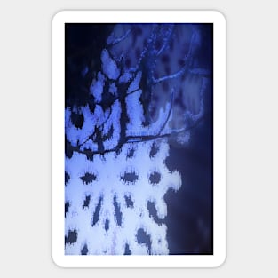 snowflakes in blue 3 Sticker